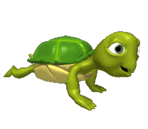 tortuga