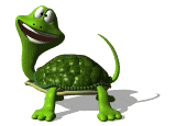 tortuga animada
