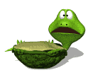 gif de tortuga