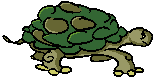 animacion de tortugas