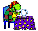 tortuga