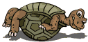 tortuga