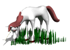 unicornio blanco