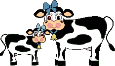 vaca