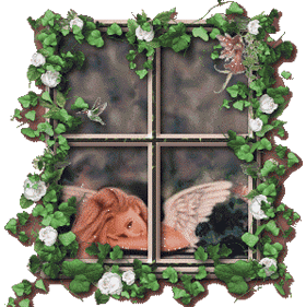 Gif de ventana