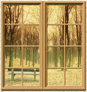 Gif de ventana