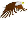 Aguila animada