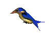 dibujo animado pajarito