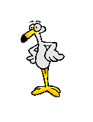 Gifs de aves