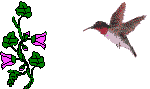 Gifs de aves