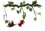 Gifs de aves