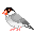 dibujo animado pajarito