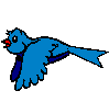 Pajaritos