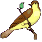 Gifs de aves