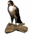 Gif de ave