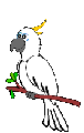 Pajaritos