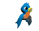 Gifs de aves