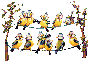 Animacion de Pajaros