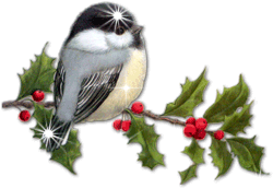 dibujo animado pajarito