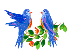 Animacion de aves