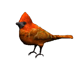 Animacion de Pajaros