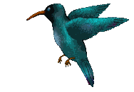 dibujo animado pajarito