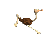 Gif Avestruz