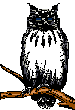 Gif de Buho