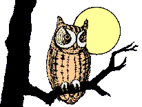 Gif de Buho