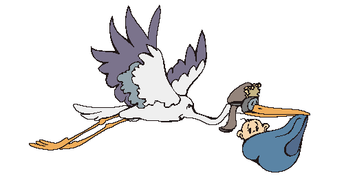 Ave animada