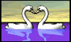 Gif de cisne