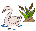 Animacion de cisne