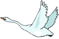 dibujo animado cisne
