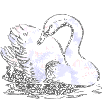 Gif de cisne