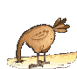 Gif de gallina loca