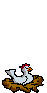 Gif de gallina loca