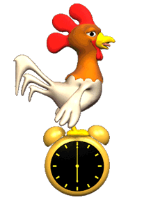 dibujo animado gallo