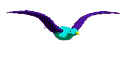 dibujo animado gaviota