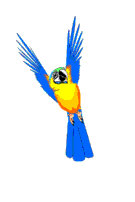 dibujo animado loro azul