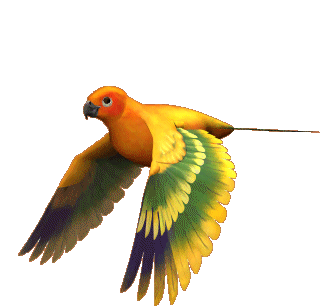 loros animado