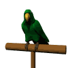 Loro