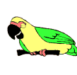loro animado