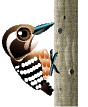Gifs de pajaros