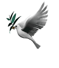 Ave animada