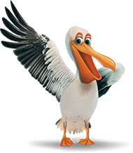 Gifs Animados de Pelicanos Gifs Animados de Pelicanos