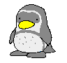 Pingüino