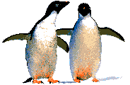 Animacion de Pingüino patinando