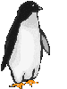 Gif de Pingüino