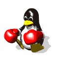 Animacion de pinguino boxeador
