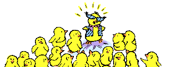 Animacion de pollitos